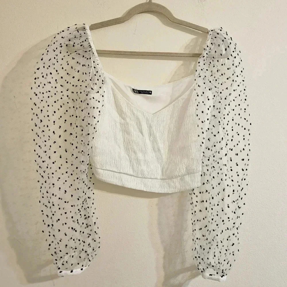 Zara Polka Dot Crop Top
